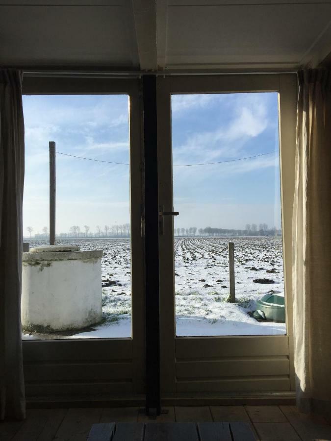 Farm stay Near